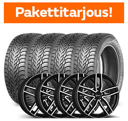 Nokian Hakkapeliitta R3 & Dezent TR Dark